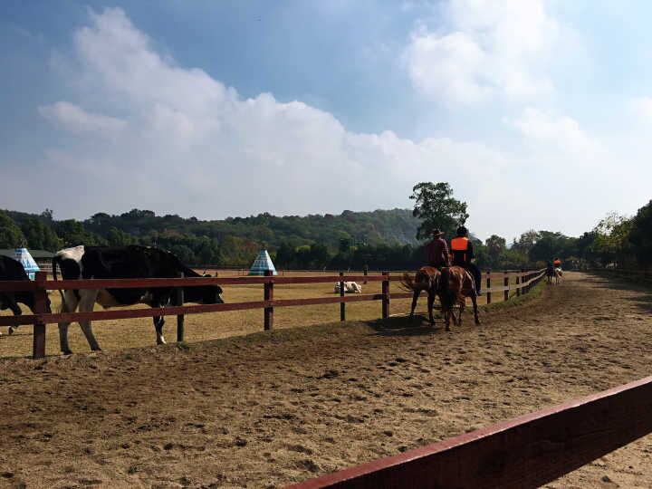 304am永利集团官网(中国)有限公司-Official Website