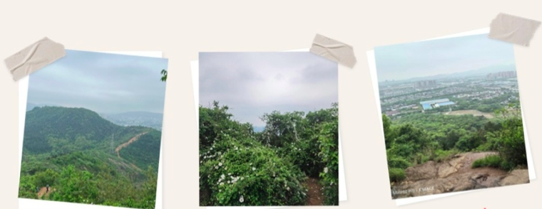 304am永利集团官网(中国)有限公司-Official Website