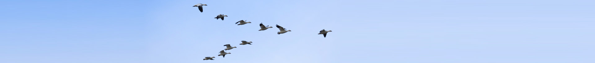 304am永利集团官网(中国)有限公司-Official Website